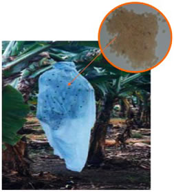 Dragonite impregnated with an essential oil in an LDPE masterbatch. A clear LLDPE bag is loaded with 5.0% Dragonite which has been impregnated with an essential oil to create a clear polymer barrier with an ability to repel insects from tree crops throughout the length of the vulnerable growth cycle.