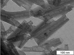 TEM image of Dragonite loaded with Ammonium Molybdate